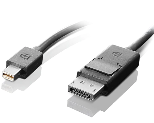 Mini-DisplayPort to DisplayPort Monitor Cable #0B47091-Campus