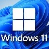 Lizenz + Installation von Windows 11 Home 64 Bit [KW9-00638]