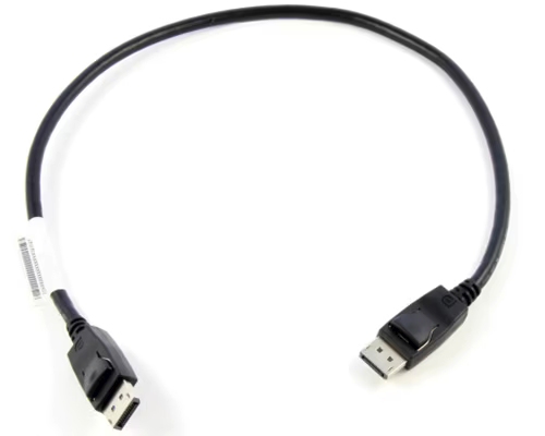 LENOVO 0.5 Meter DisplayPort zu DisplayPort Cable #0B47396-Campus